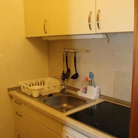 Ferienwohnung-v109
